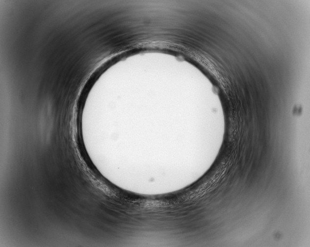 X0000103400984200810100930