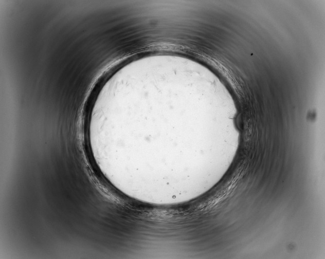 X0000103400987200810100930