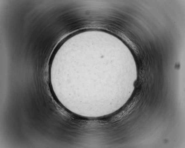 X0000103400988200810100930