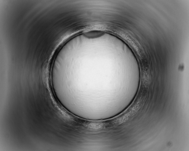 X0000103400989200810100930