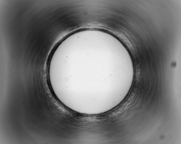 X0000103400990200810100929