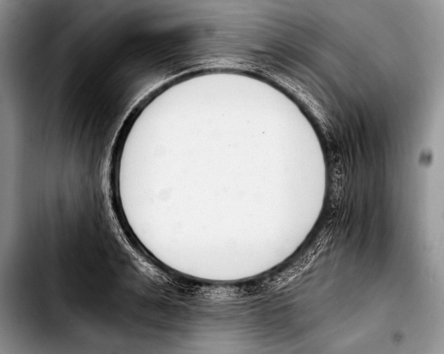 X0000103400991200810100929