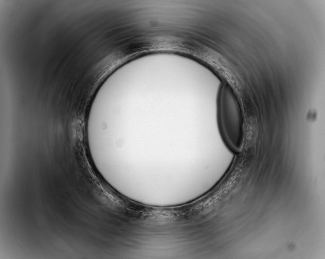 X0000103400993200810100929