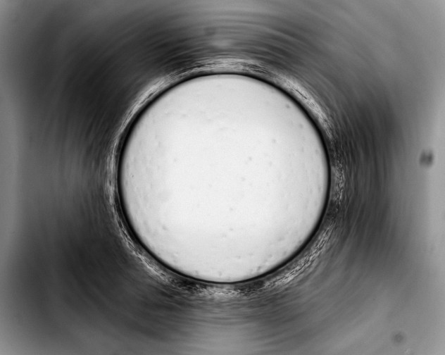 X0000103400994200810100929