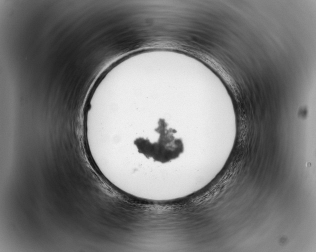 X0000103400996200810100929