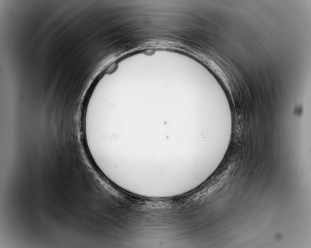 X0000103400997200810100929