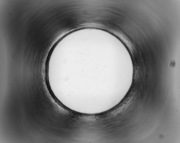 X0000103400999200810100929