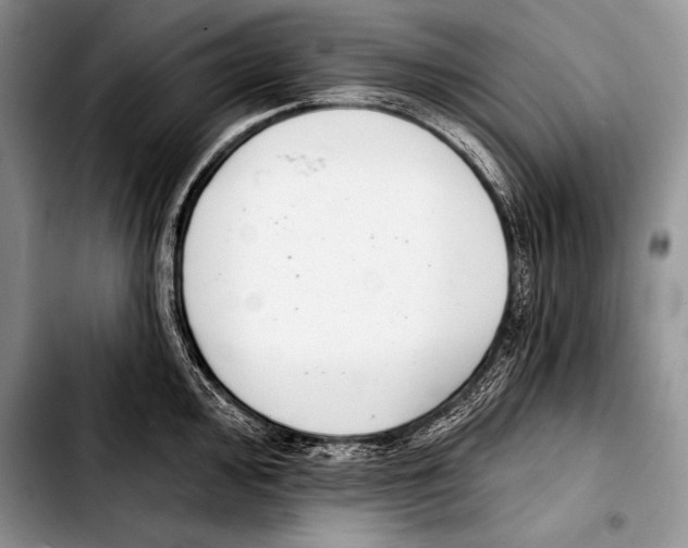 X0000103401000200810100929