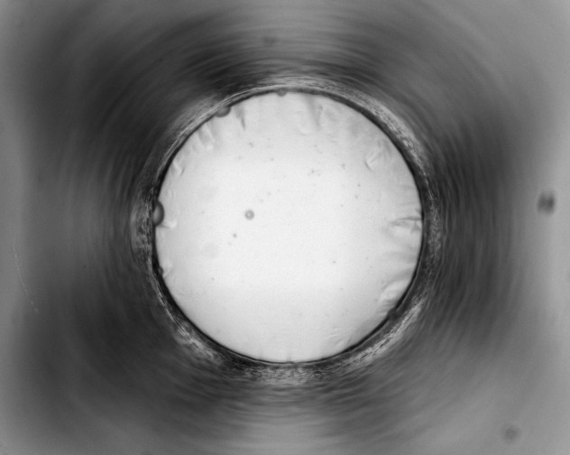 X0000103401001200810100929