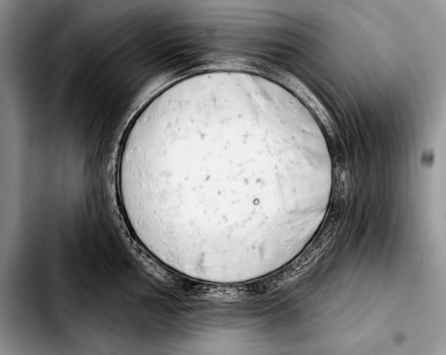 X0000103401002200810100929