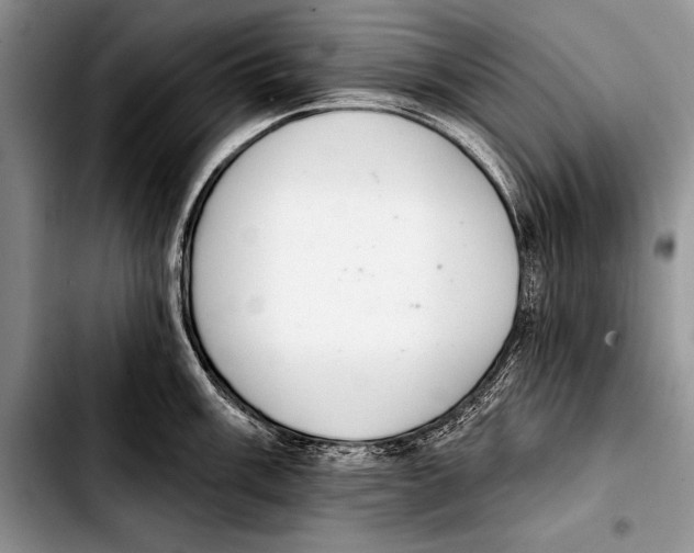 X0000103401003200810100929