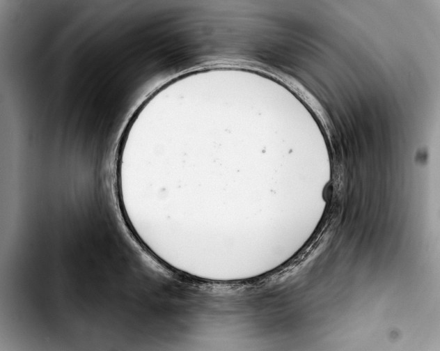 X0000103401005200810100929