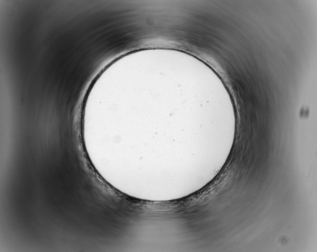 X0000103401008200810100929