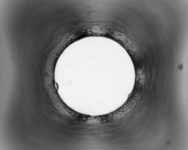 X0000103401009200810100929