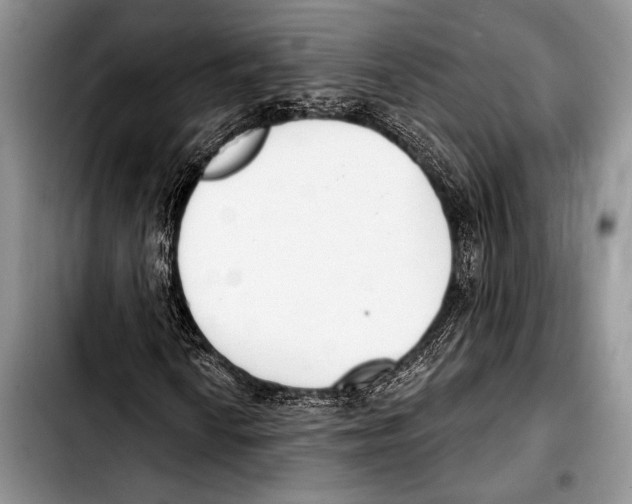 X0000103401010200810100929