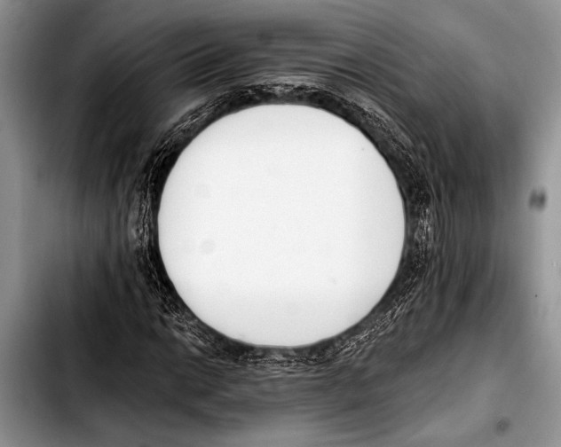 X0000103401014200810100929