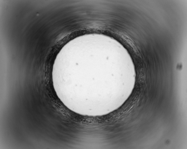 X0000103401015200810100929