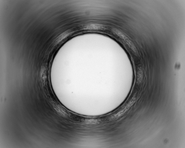 X0000103401017200810100929