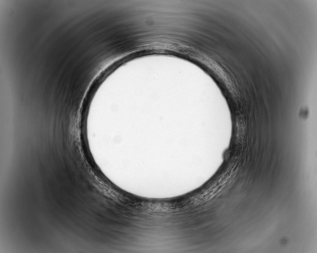 X0000103401020200810100929