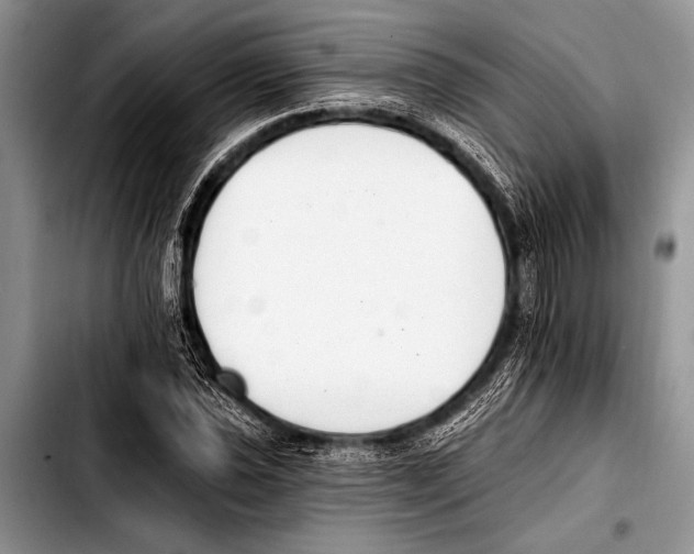 X0000103401021200810100929