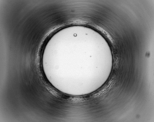 X0000103401027200810100929