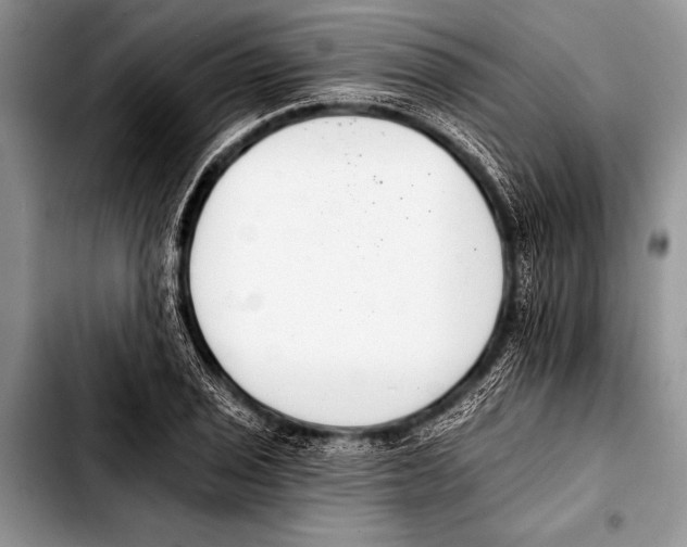 X0000103401029200810100929