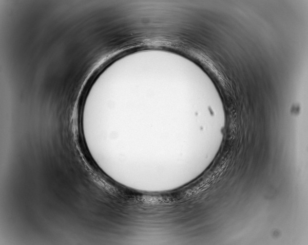 X0000103401032200810100929