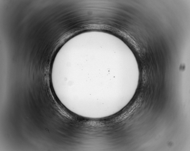 X0000103401033200810100929