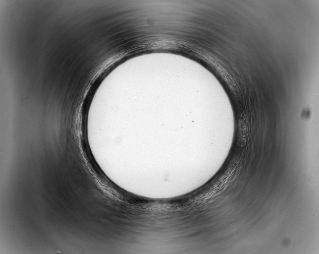 X0000103401034200810100929