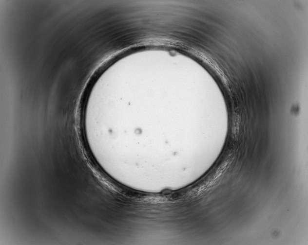 X0000103401037200810100929