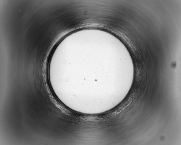 X0000103401038200810100929