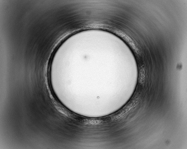 X0000103401039200810100929