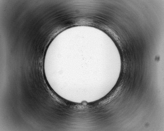 X0000103401041200810100929