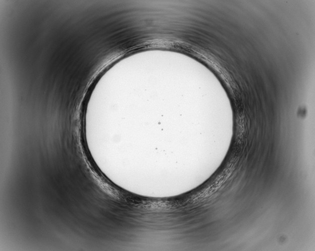 X0000103401042200810100929