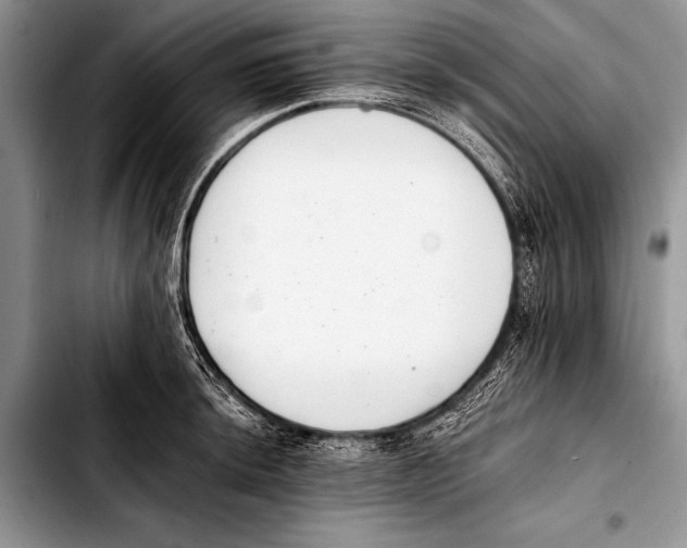 X0000103401044200810100929