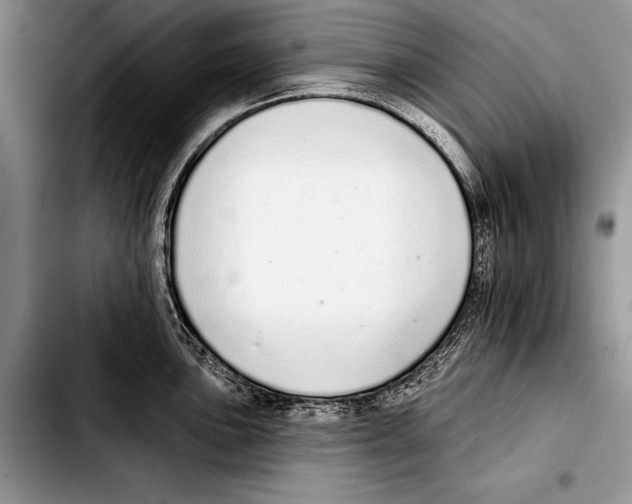 X0000103401051200810100929