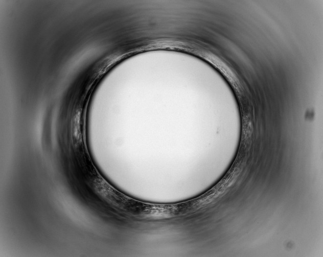 X0000103401055200810100929