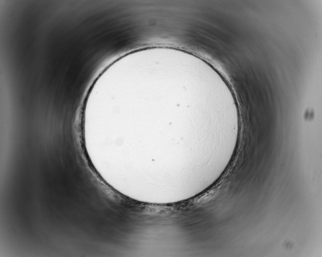 X0000103401056200810100929