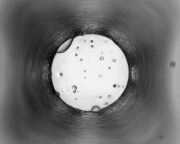 X0000103401059200810100929