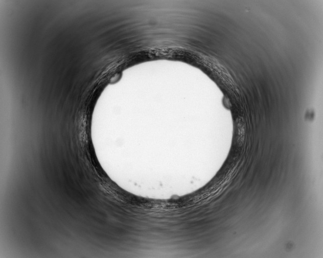 X0000103401060200810100929