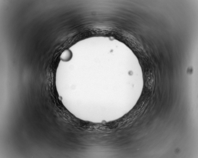 X0000103401061200810100929