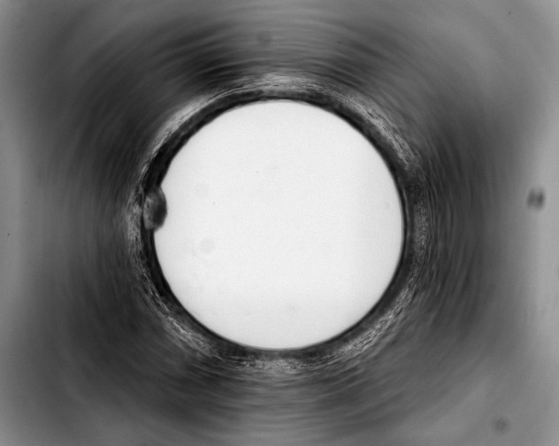 X0000103401066200810100928