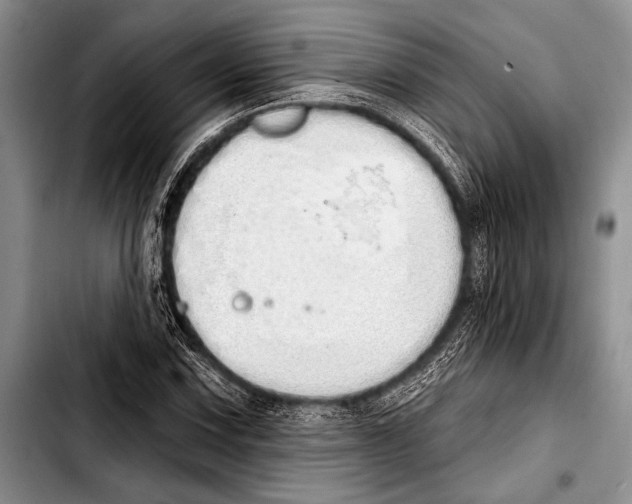 X0000103401067200810100928