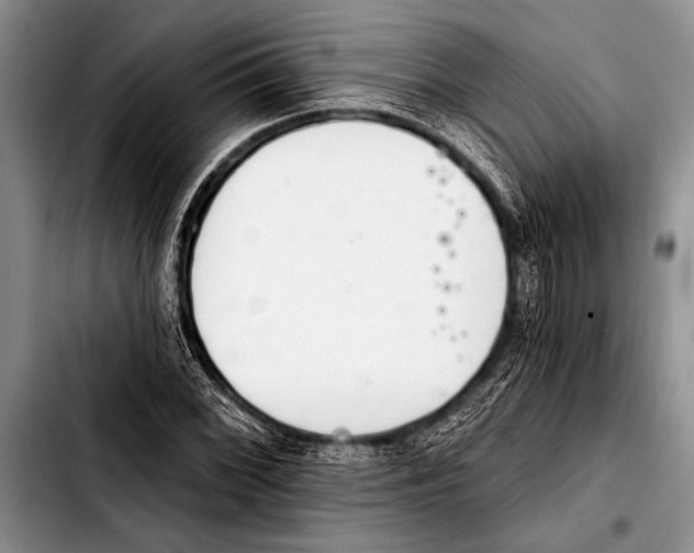 X0000103401068200810100928