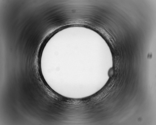 X0000103401072200810100928