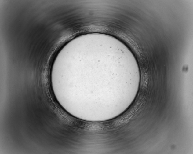 X0000103401074200810100928