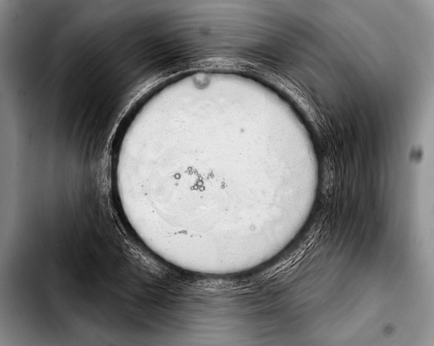 X0000103401075200810100928