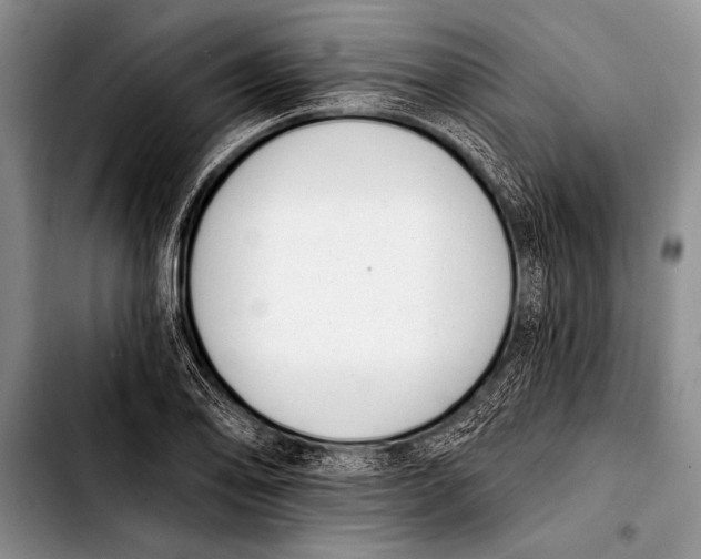 X0000103401078200810100928