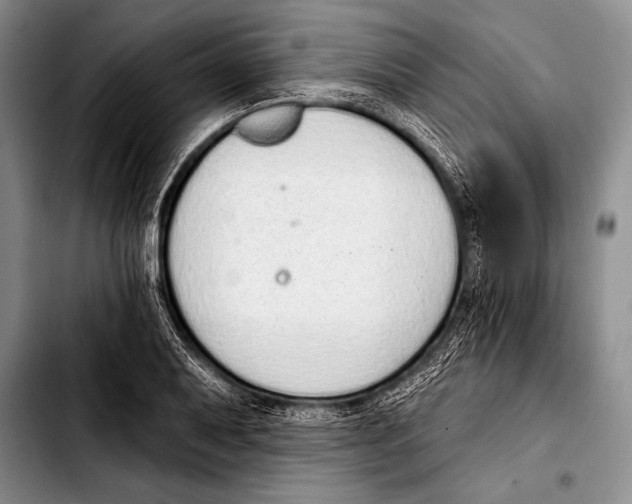 X0000103401079200810100928