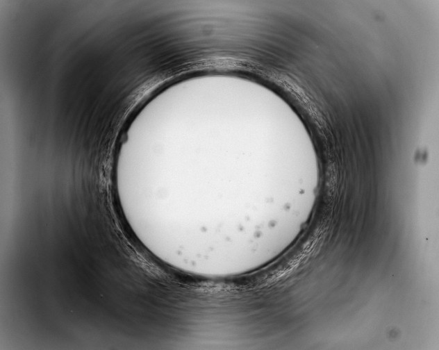 X0000103401081200810100928